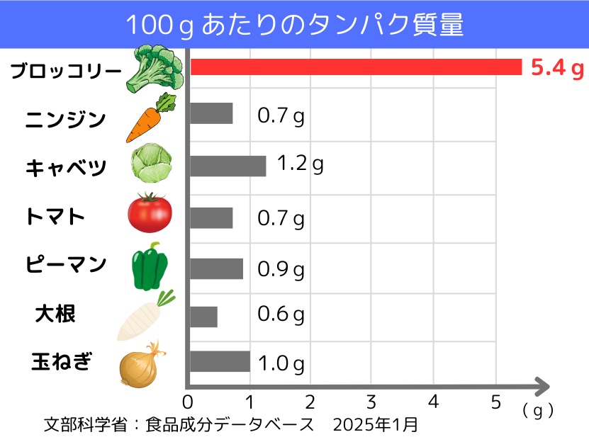 ブロッコリーのタンパク質量を他の野菜と比較した表