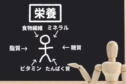 納豆が消化吸収率が高い様子